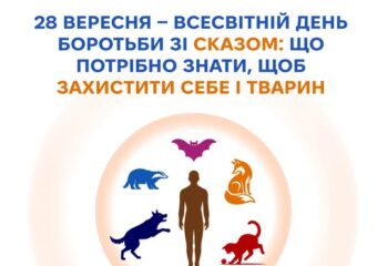 Рак простати: що треба знати чоловікам