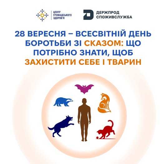 Рак простати: що треба знати чоловікам Рак простати: що треба знати чоловікам